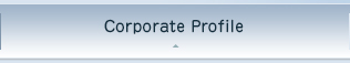 Corporate Profile